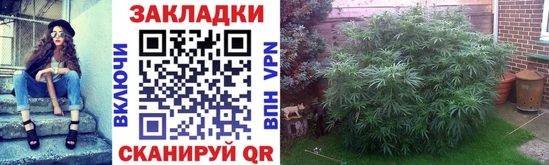 Меф мяу мяу Краснокаменск